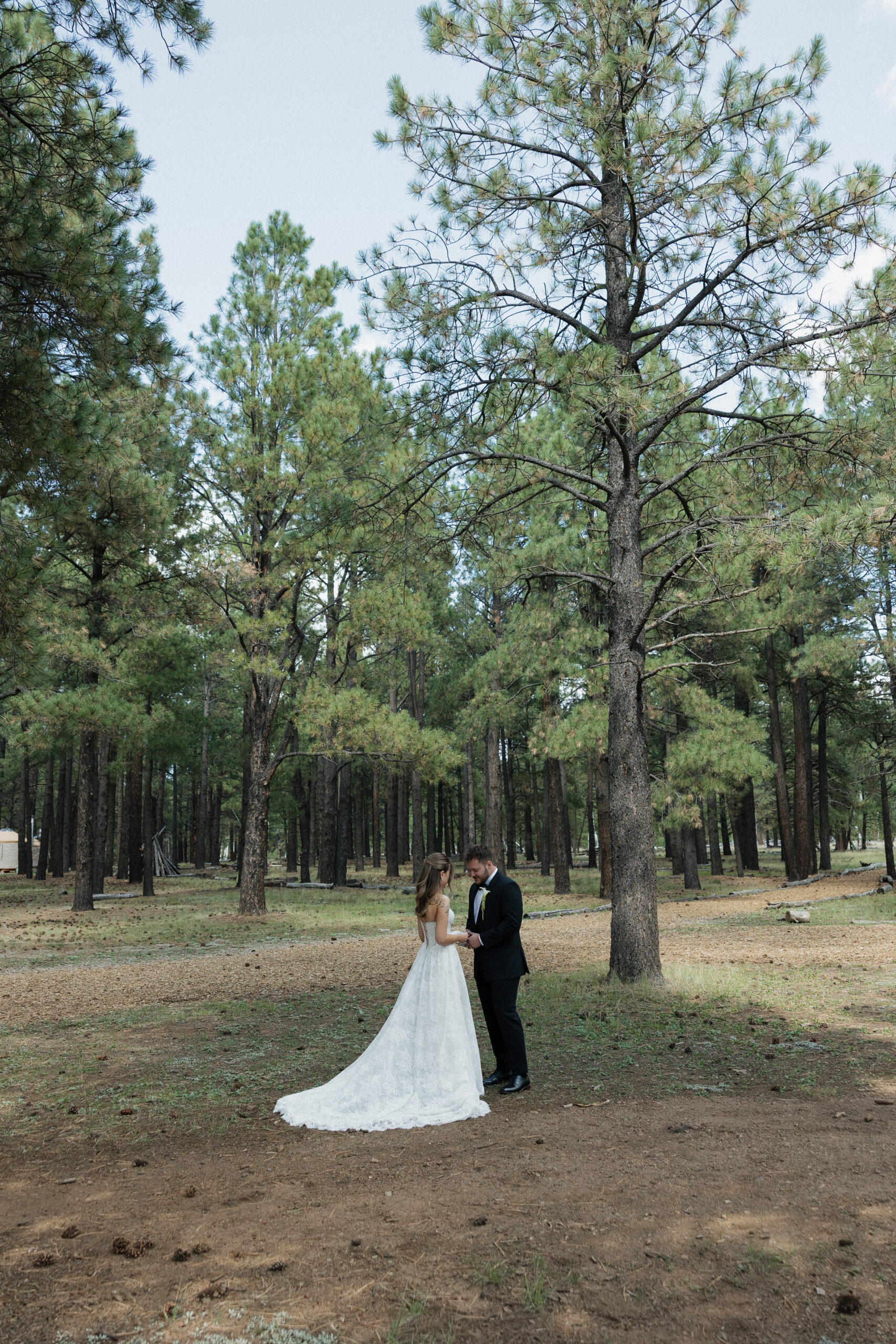 Timeless images of first look at Flagstaff Arizona wedding Nordic Village
