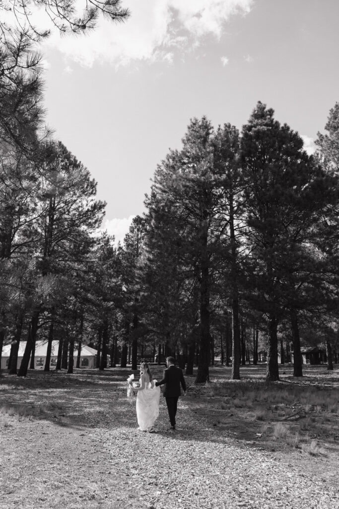 Sophisticated wedding portraits timeless Flagstaff Arizona wedding mountain forest