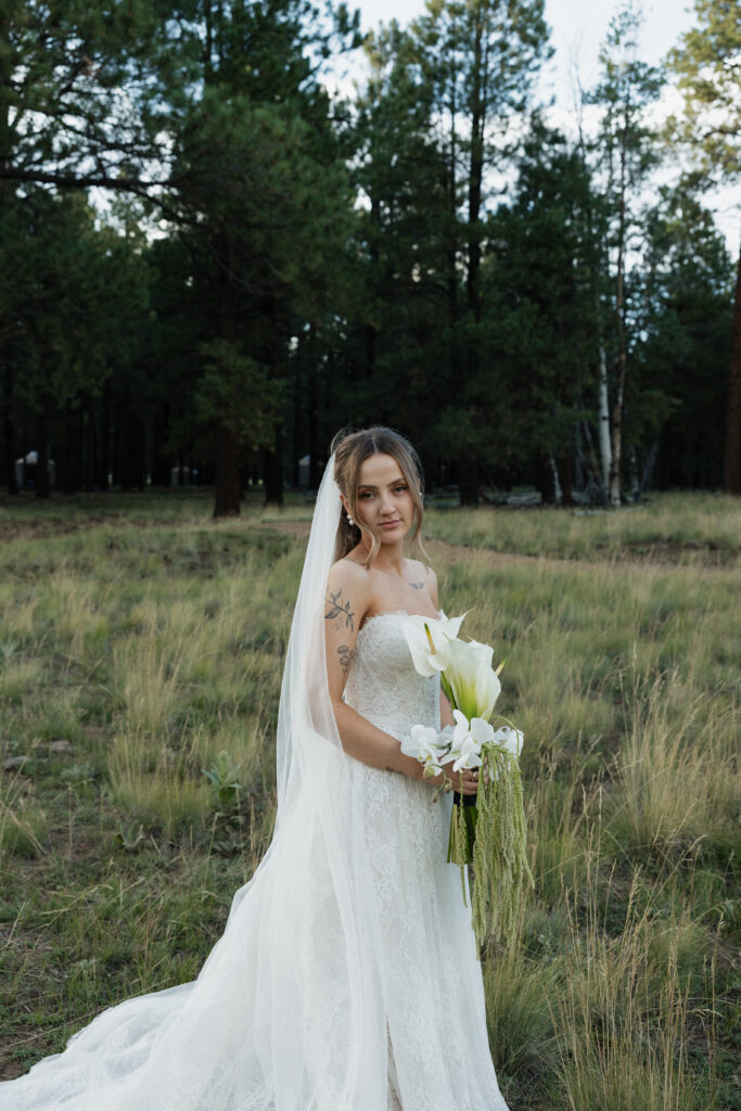 Elegant bride portraits timeless Flagstaff Arizona wedding at Nordic Village