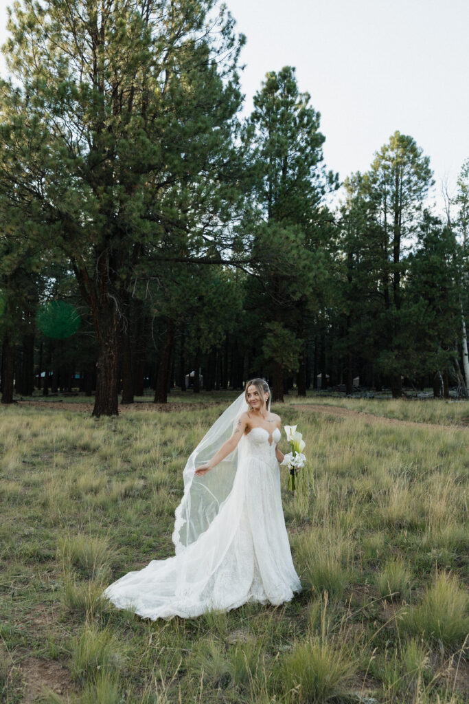 Elegant bride portraits timeless Flagstaff Arizona wedding at Nordic Village